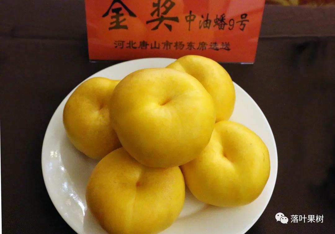 中国桃产业转型升级,桃产业转型升级的思考