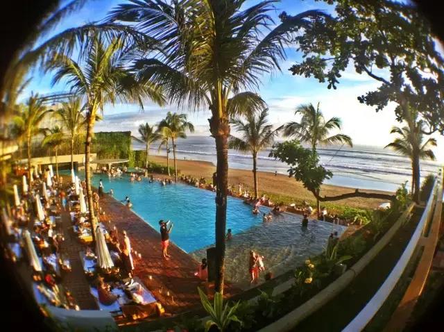 巴厘岛鸟园旅游攻略,大连至巴厘岛旅游自由行攻略