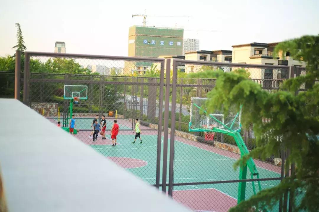 沈阳篮球约球攻略,临沂约球