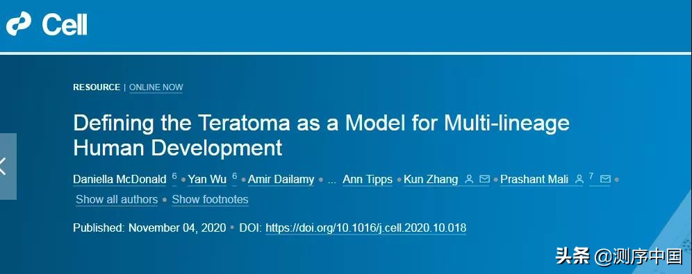 基于单细胞测序,张鹍团队揭示畸胎瘤作为早期胚胎发育模型的潜力