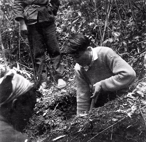 没有经费仍然坚持研究,他揭开了天麻生长的全部奥秘,药农为他立碑塑像