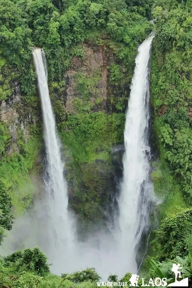 老挝咖啡介绍,最火爆的老挝咖啡