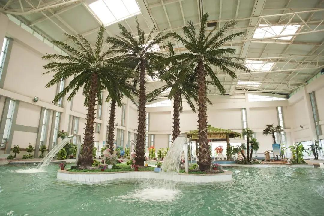 济南踏青旅游攻略,济南哪里的温泉适合带孩子去的