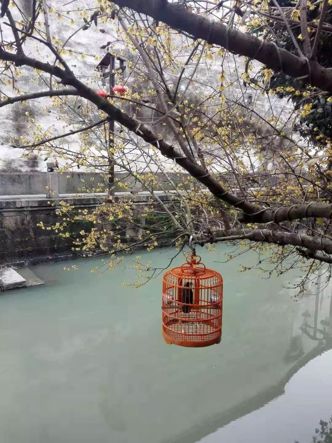 杭州武林门北到新市,杭州周边古镇一日游