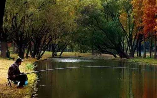 一天中钓鱼最佳时间口诀,一天中钓鱼的最佳时间在什么时候