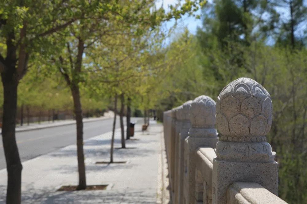 周游延边！最新清明自驾线路发布，约起来！