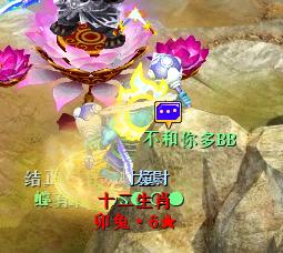 神武4十二生肖配置攻略,神武4生肖十星要什么配置