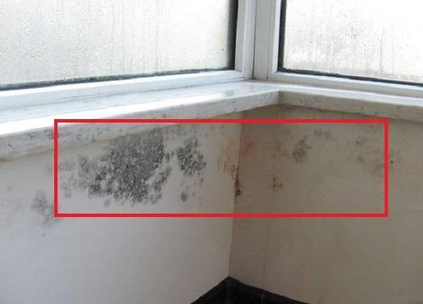 <html>
<head><title>502BadGateway</title></head>
<body>
<center><h1>502BadGateway</h1></center>
<hr><center>nginx</center>
</body>
</html>
<!--apaddingtodisableMSIEandChromefriendlyerrorpage-->
<!--apaddingtodisableMSIEandChromefriendlyerrorpage-->
<!--apaddingtodisableMSIEandChromefriendlyerrorpage-->
<!--apaddingtodisableMSIEandChromefriendlyerrorpage-->
<!--apaddingtodisableMSIEandChromefriendlyerrorpage-->
<!--apaddingtodisableMSIEandChromefriendlyerrorpage-->
