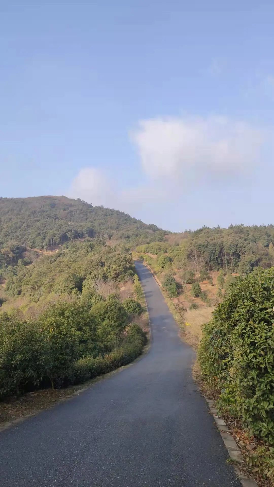 苏州小众却很棒的地方,五一来苏州必去的打卡地