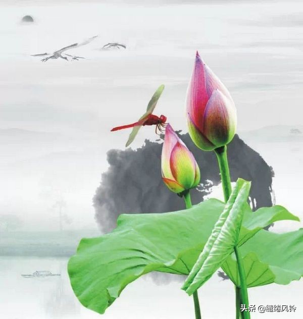 史上最短经典的文章,古今最短的12篇文章