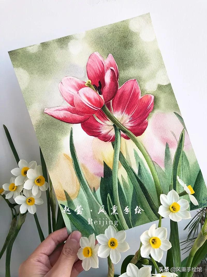 怎么用水彩笔画郁金香教程,粉色水彩郁金香怎么画图片