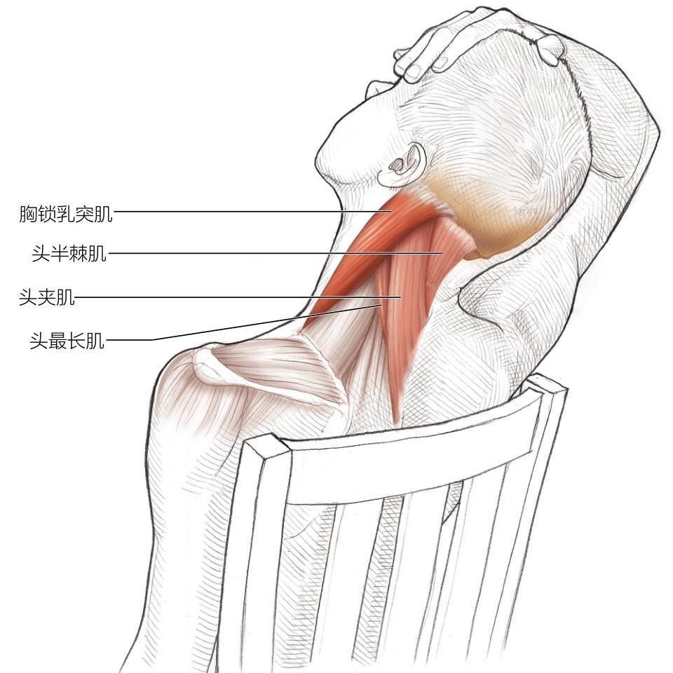 学舞蹈不会扭,学舞蹈不会基本功怎么办