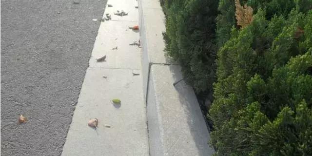 市政公路工程质量通病防治手册,道路路面工程质量通病