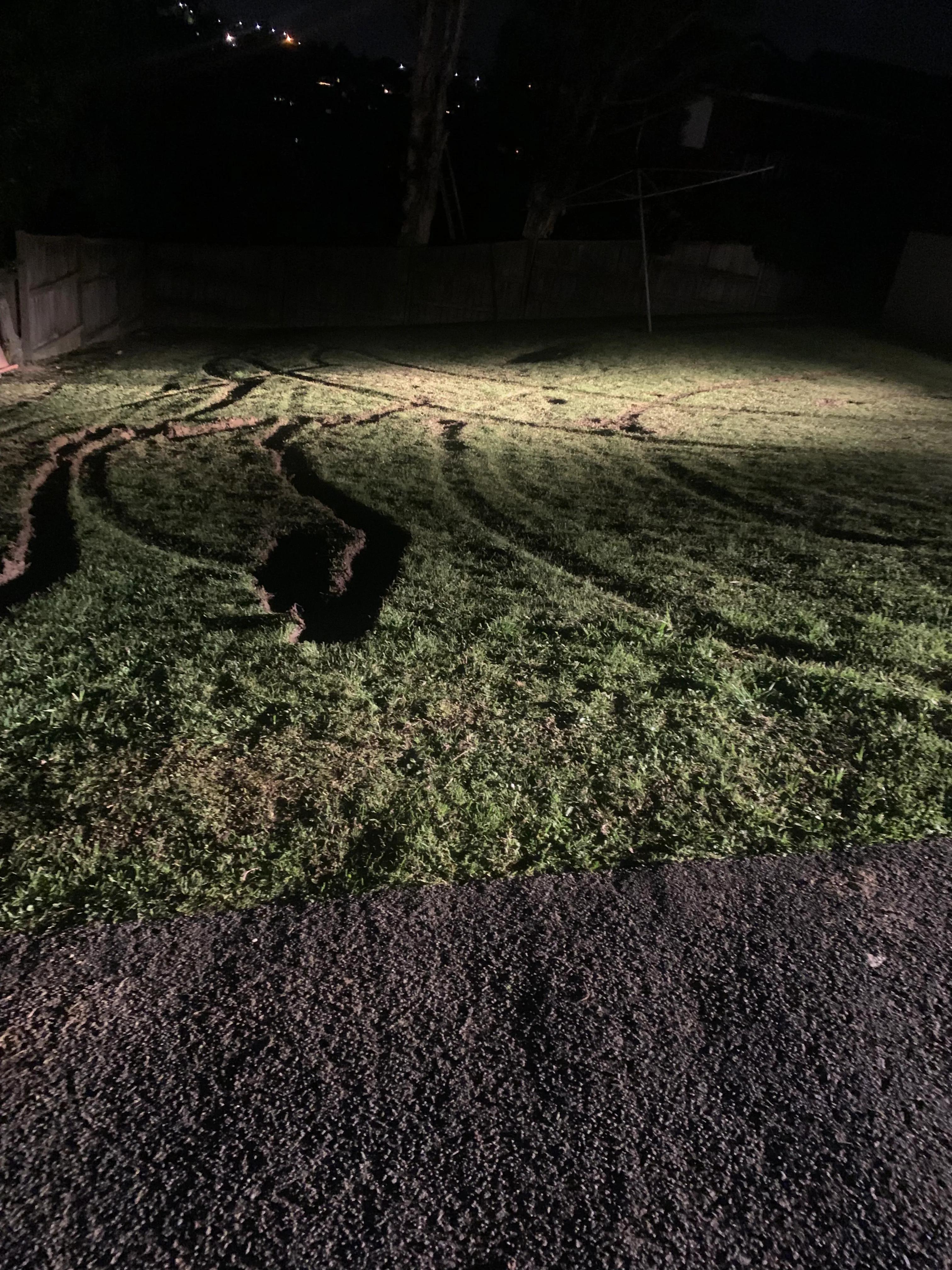 新西兰送外卖条件 (中国人在新西兰送外卖)