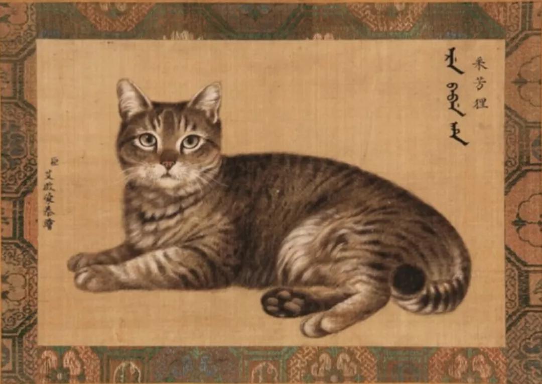 古代猫名字,古代猫的名字