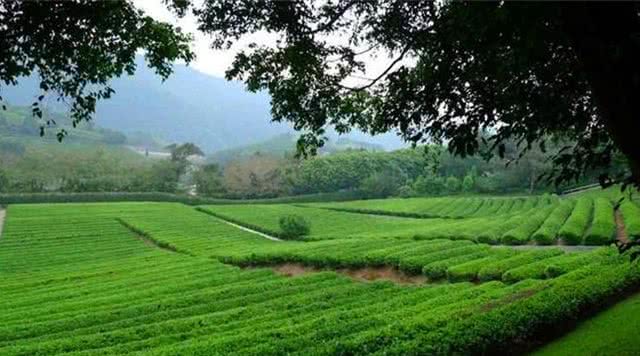 广东省内自然风光旅游景点,广东旅游景点推荐一览表