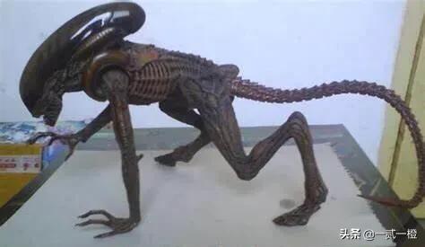 一部几乎零差评的高分电影,这部豆瓣评分2.8分的电影讲的什么