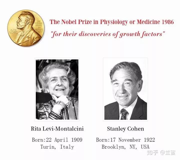 大s和李嘉欣,经得起多大的诋毁下一句