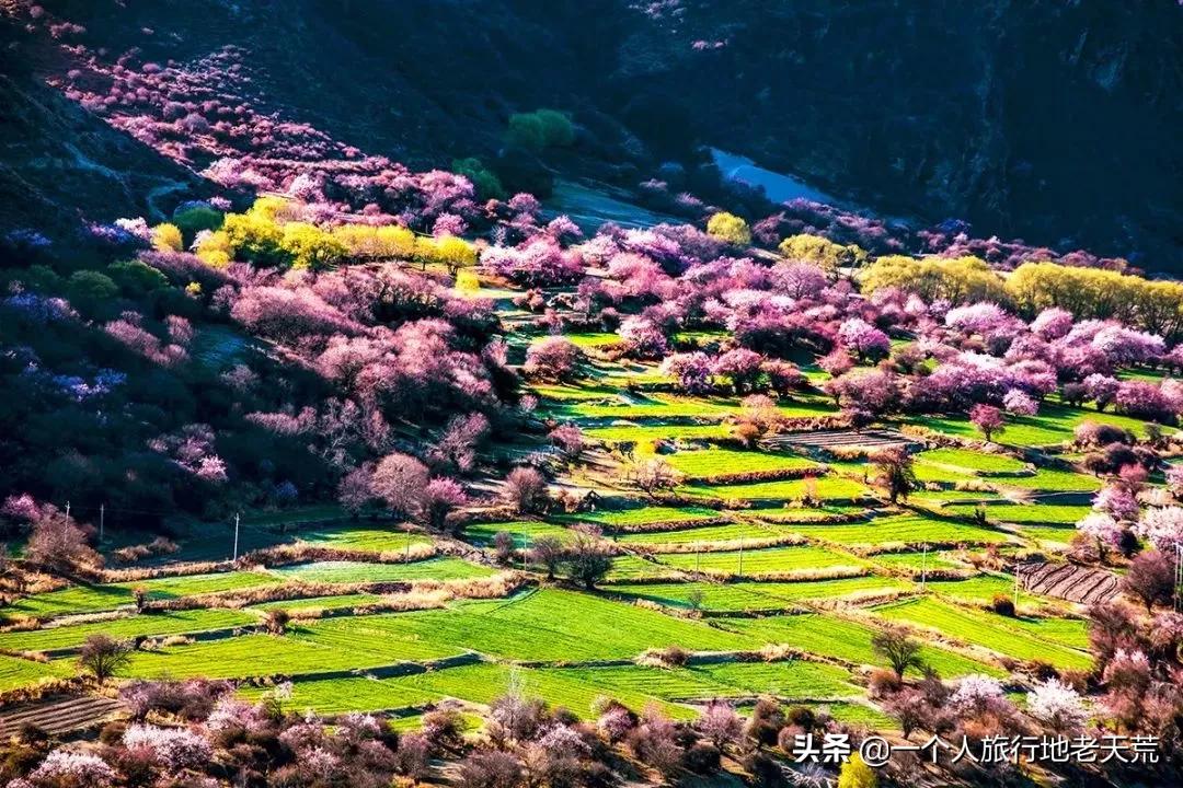 国内最适合一个人旅行的20个地方！去过才懂得什么是自由