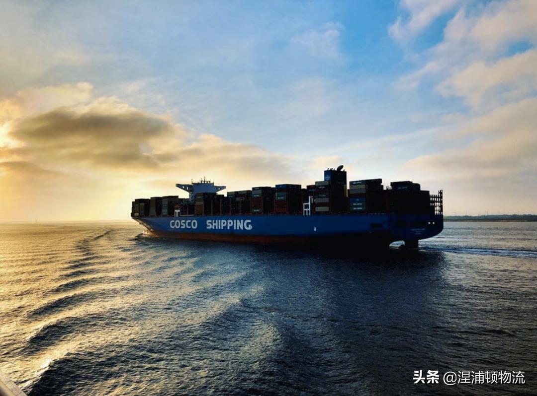 中远海运一个季度挣155亿可能吗,中远海运2024年业绩