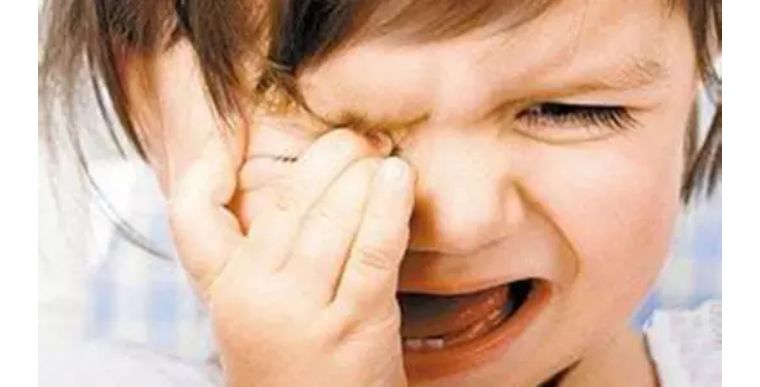 柳絮迷眼怎么办,柳絮弄得眼睛痒怎么办