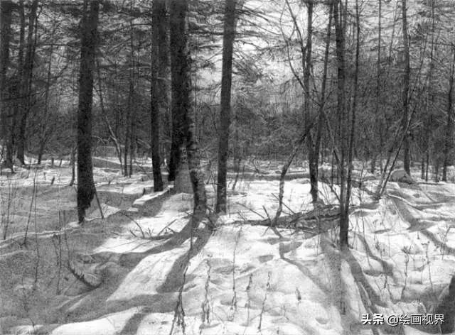 不会画就别学,不会画素描写生