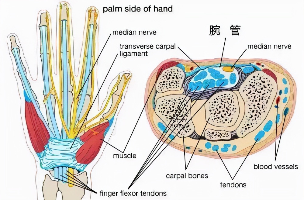 生命汇医疗国际中心,生命汇医疗服务