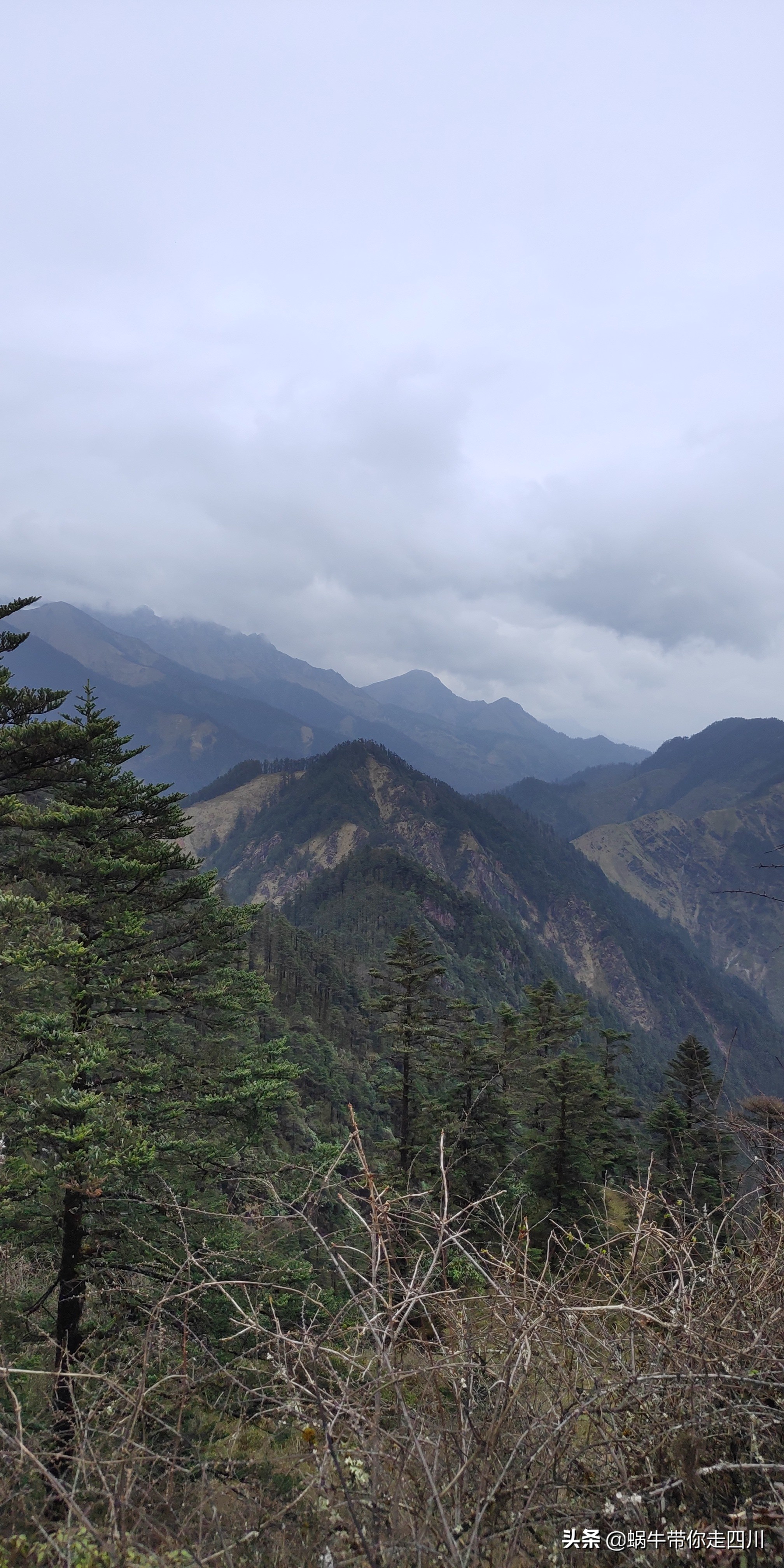成都去西岭雪山两天一夜旅游团,成都出发雪山旅游