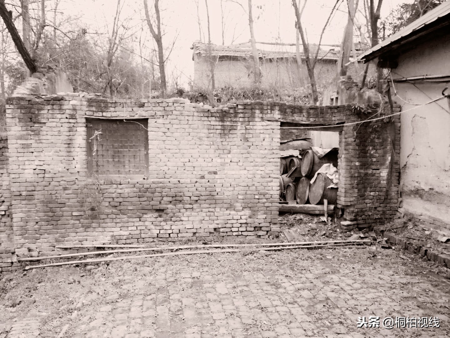 农村公鸡治病,农村治鸡病的小妙方