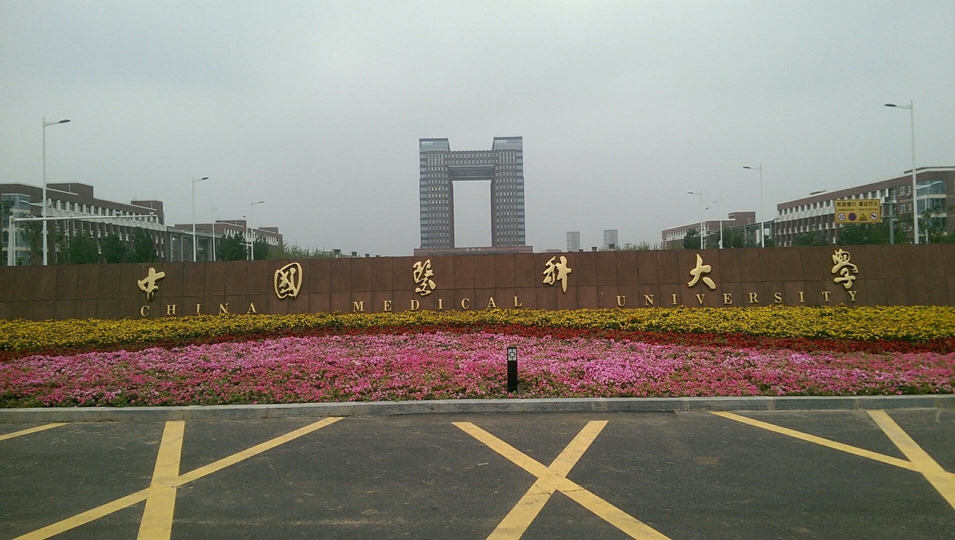 高三学生学习压力大失眠,高三压力大失眠补什么