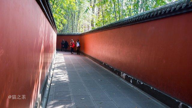 成都网红旅行攻略,四川成都新津最新网红打卡景点