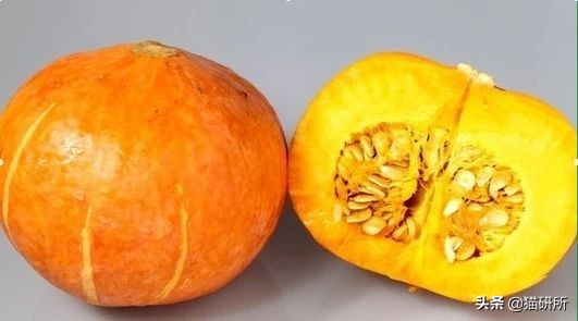 猫咪便秘快速通便10秒见效,怎么解决猫咪便秘