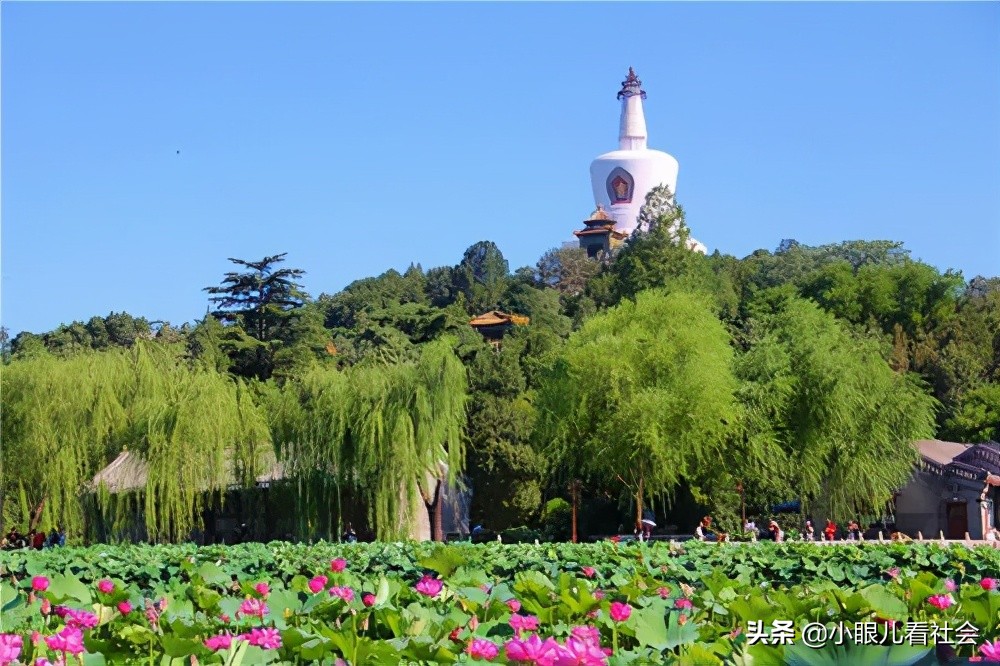 家住北京这片的孩子，集合了
