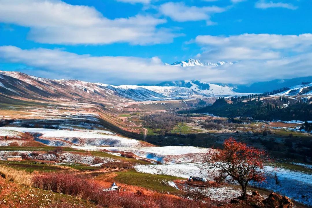 伊犁最美的50处绝色美景,伊犁最美的小众景点