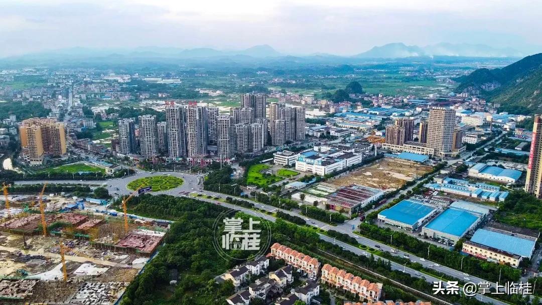 临桂区新建5所学校,临桂新区有哪些学校