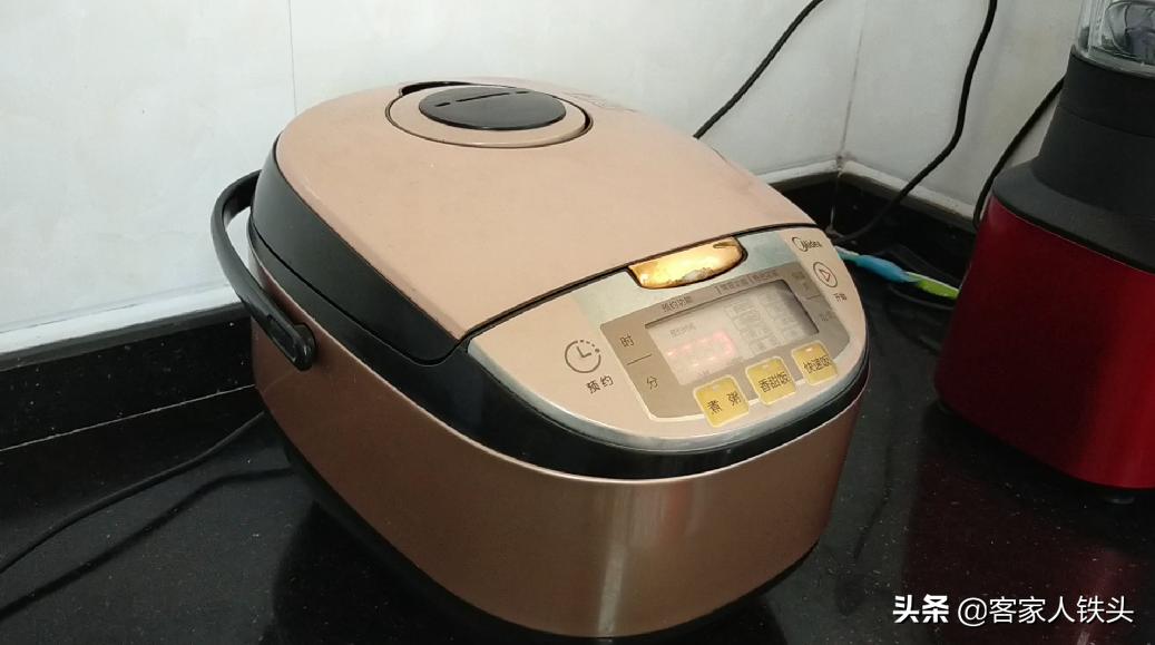 排骨怎么用电饭锅炖好吃,电饭锅焖排骨的家常做法孩子爱吃