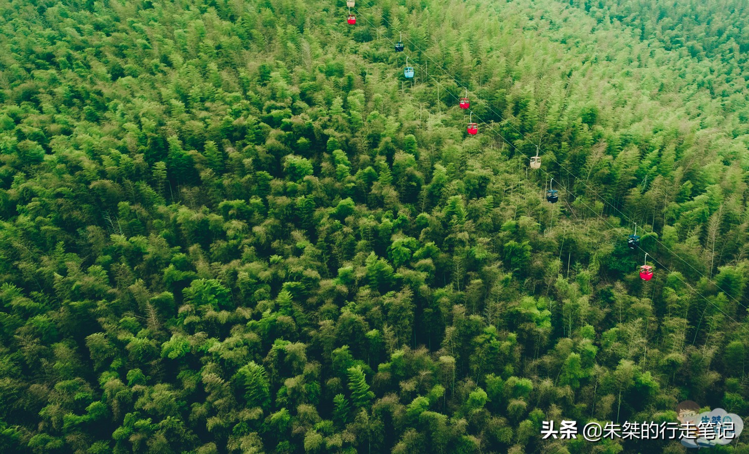 溧阳市三省交界景区,溧阳南山竹海5a景区