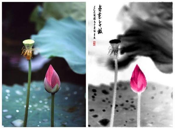 photoshop十大高级技巧,ps婚纱照基础教程新手入门