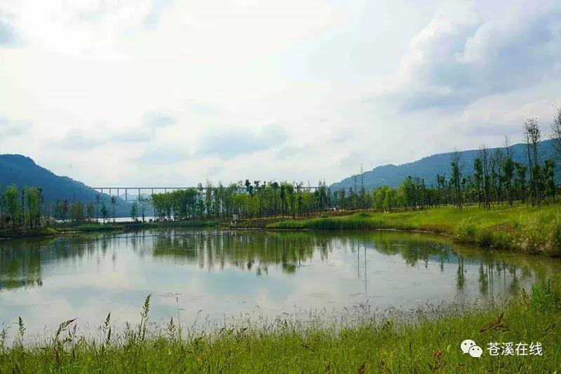 苍溪湿地公园有什么,苍溪最新湿地公园