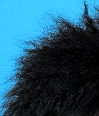 photoshop照片快速换底,photoshop照片换蓝底