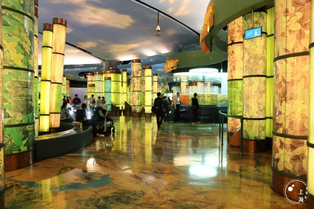 整个上海都是繁华的吗,上海一座美丽的魔都