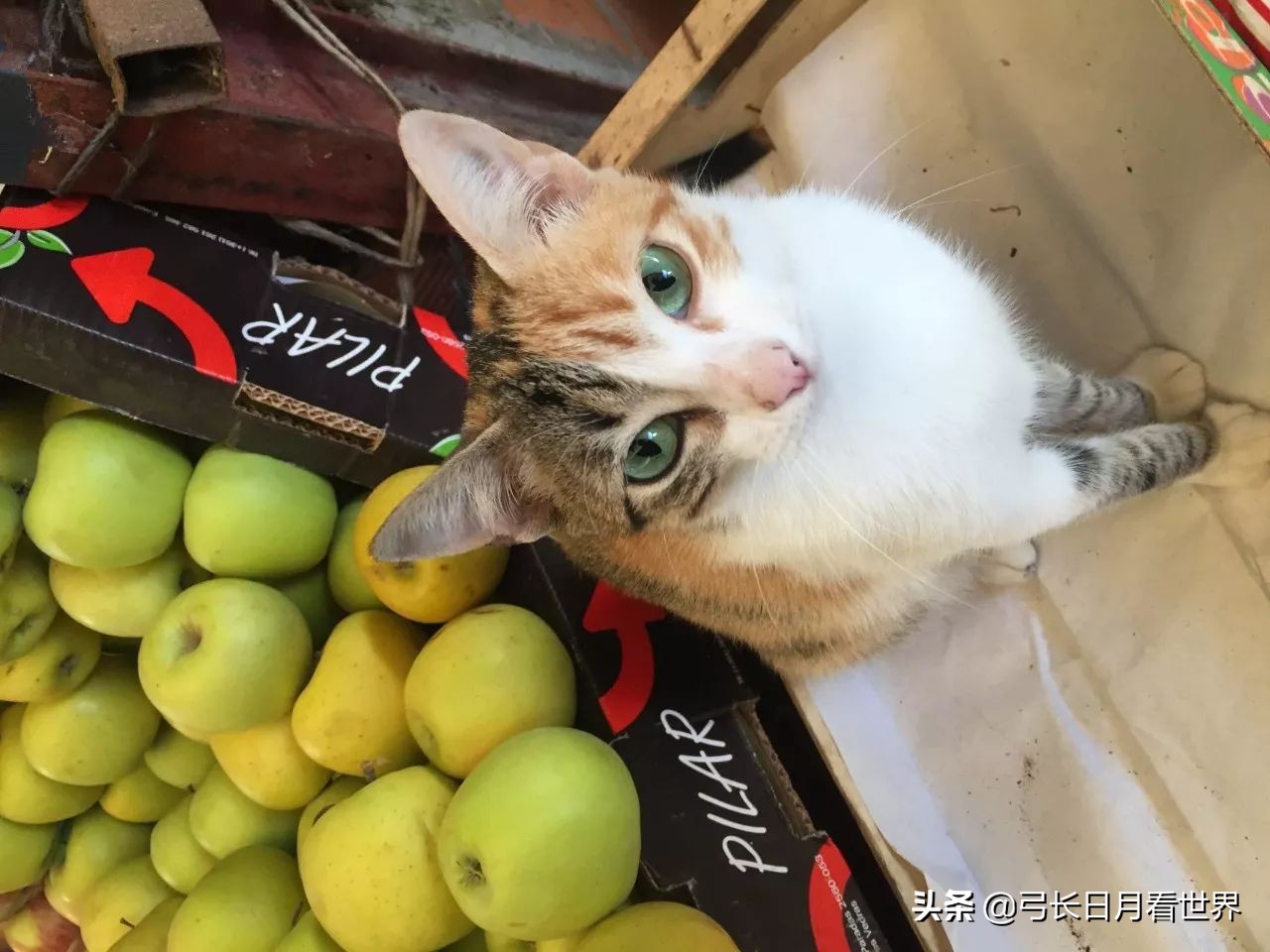 没带银行卡在国外怎么办,出国现金超过1万怎么办