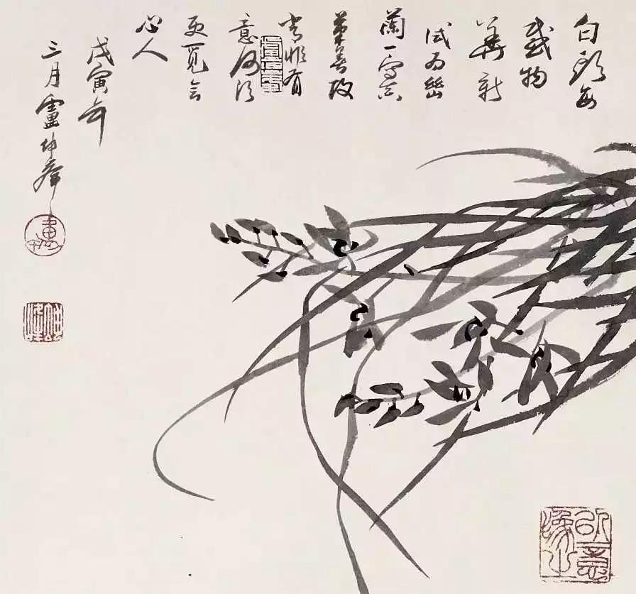 水墨怎么画兰花最好看,如何画兰花大全图片