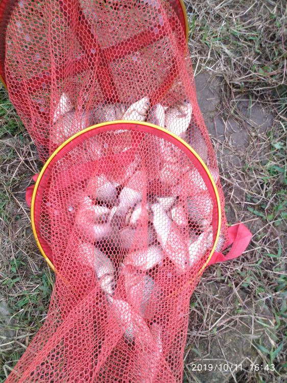 本汀宗师典藏版,本汀宗师完整视频