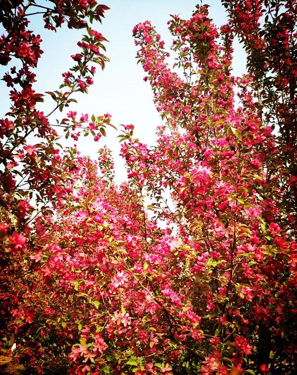 陕西咸阳鼓浪屿沙滩,咸阳沙滩景区