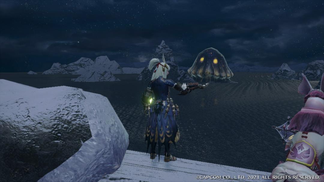 怪猎崛起艾露猫支援类型选什么好,怪猎冷知识