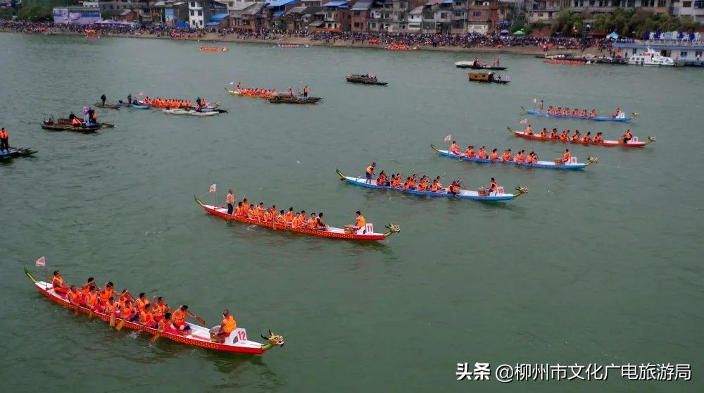 2023年融安龙舟公开赛选场,融安龙舟公开赛直播