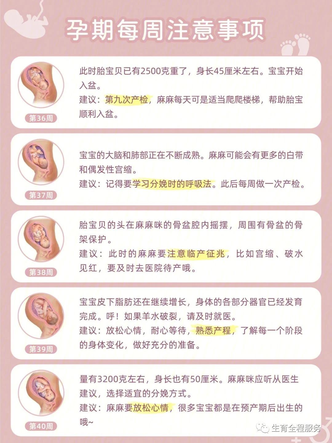 每一位准妈妈最可信赖的孕期指南,孕期1-40周应注意事项