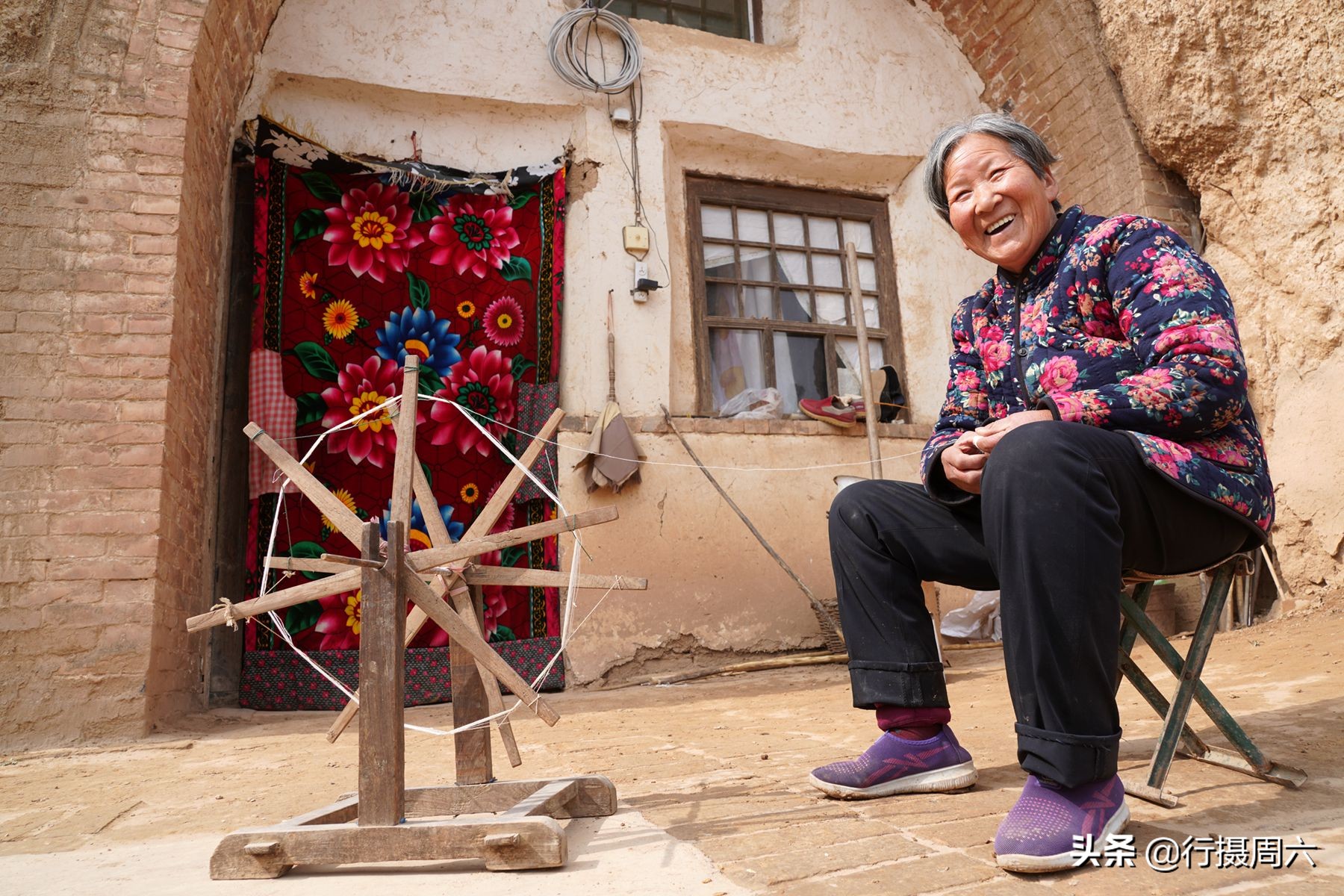 山西8旬大爷把母猪当宠物养，1窝小猪卖14600元，无本生意