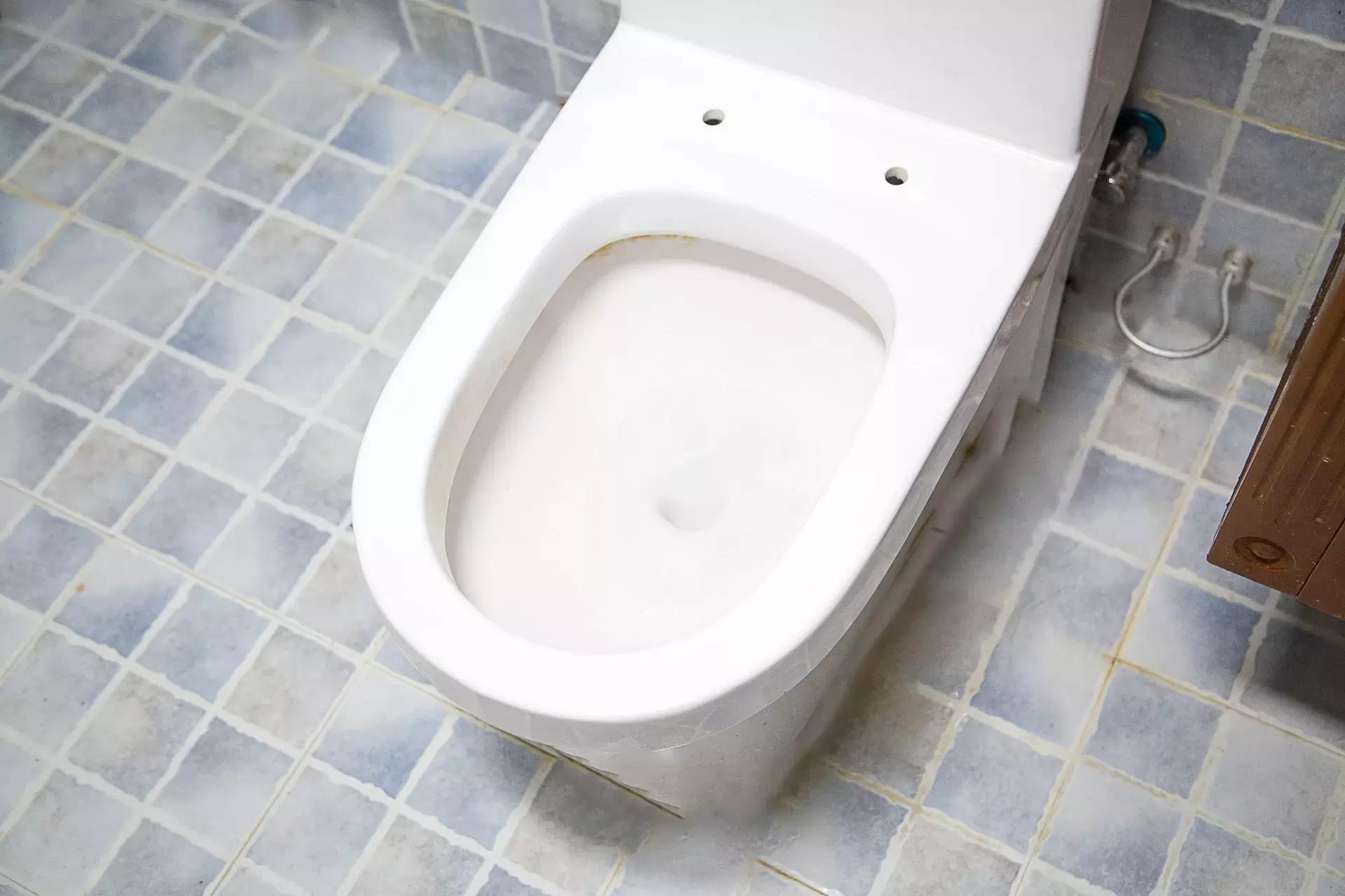 菊花清洗神器 (自制菊花清洗神器)